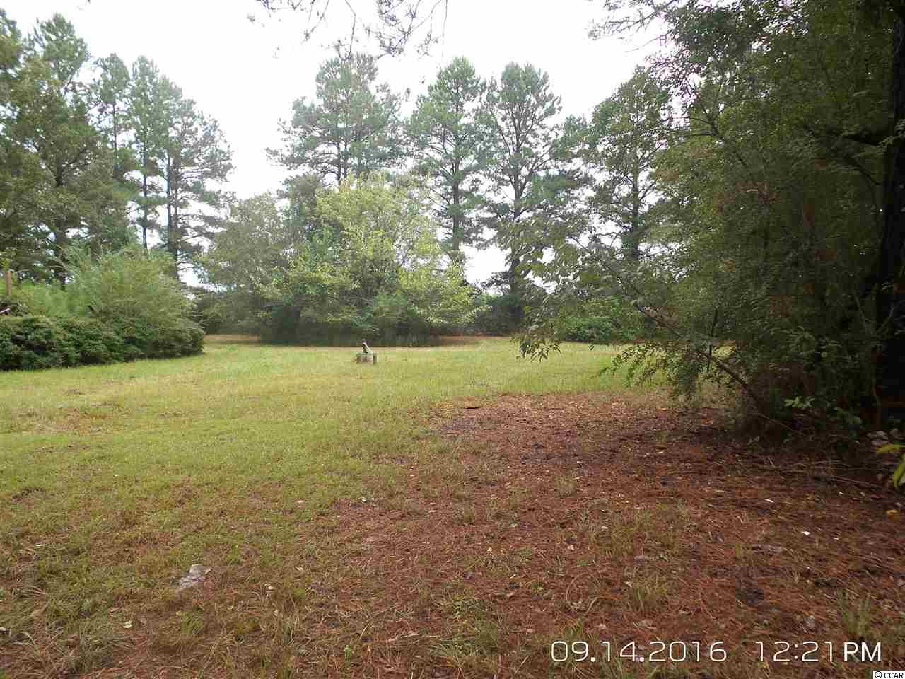 462 Old Pireway Road Conway, SC 29526 - Photo 6 of 20 Gallery Image 6