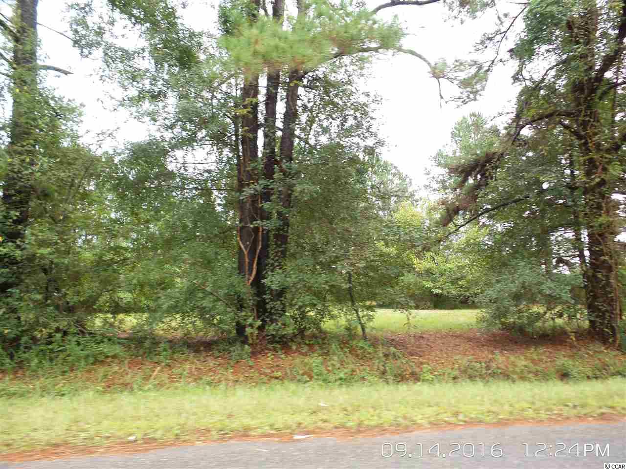 462 Old Pireway Road Conway, SC 29526 - Photo 7 of 20 Gallery Image 7
