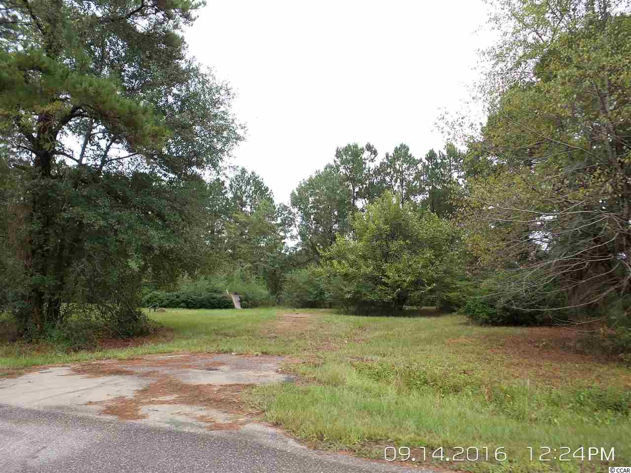462 Old Pireway Road Conway, SC 29526 - Photo 8 of 20 Gallery Image 8