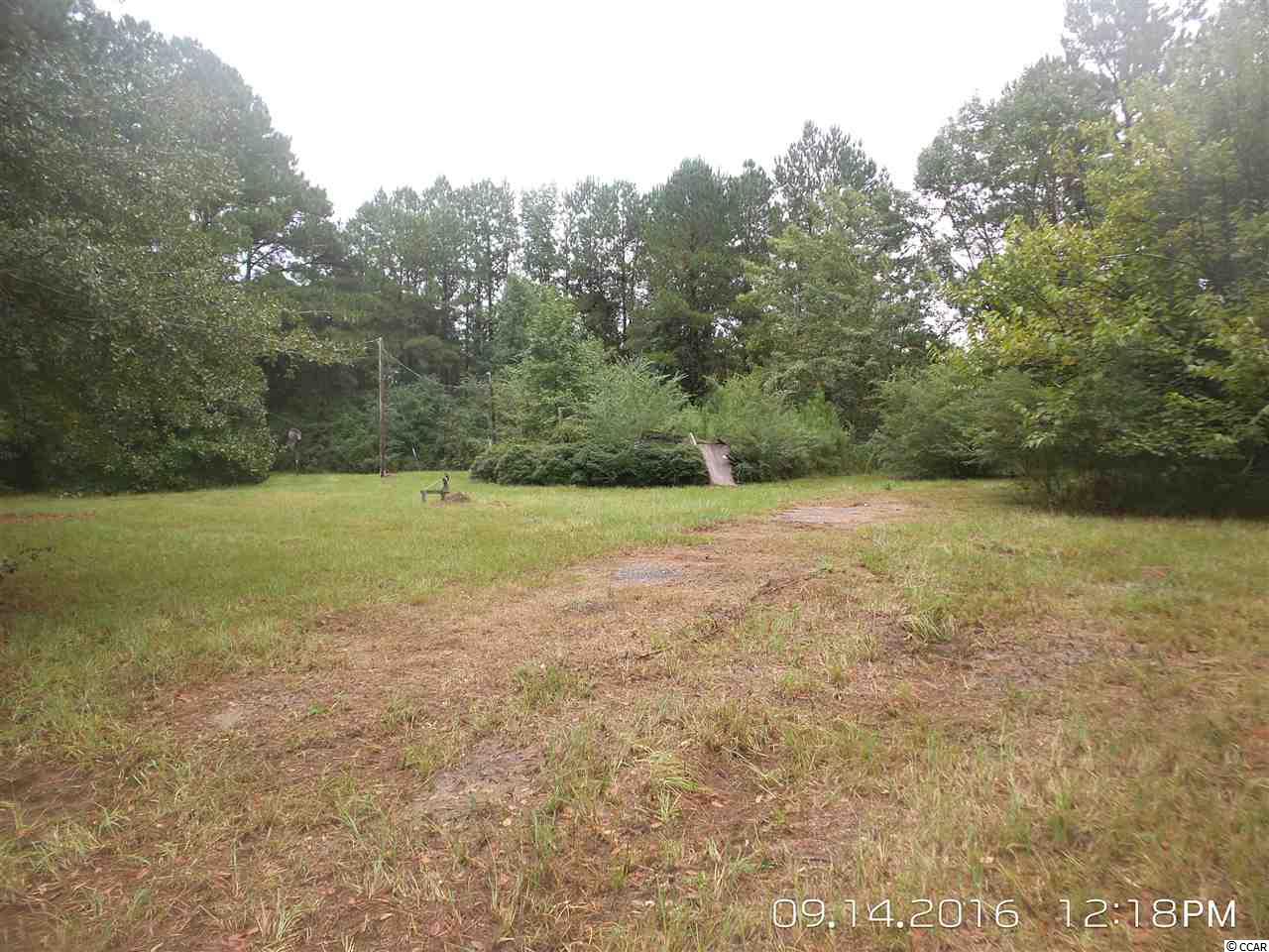 462 Old Pireway Road Conway, SC 29526 - Photo 9 of 20 Gallery Image 9