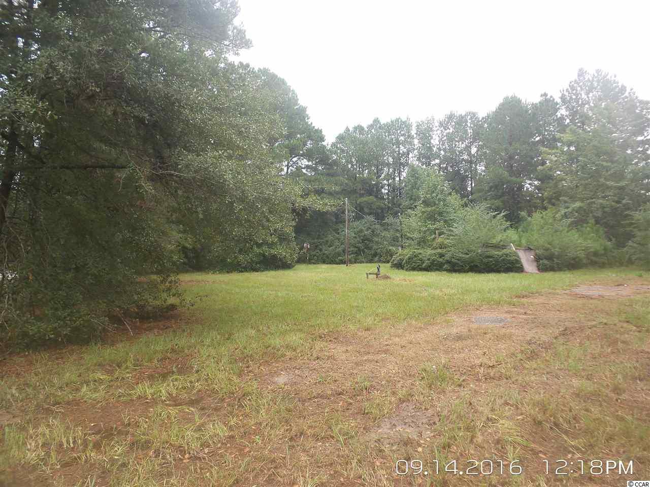 462 Old Pireway Road Conway, SC 29526 - Photo 10 of 20 Gallery Image 10