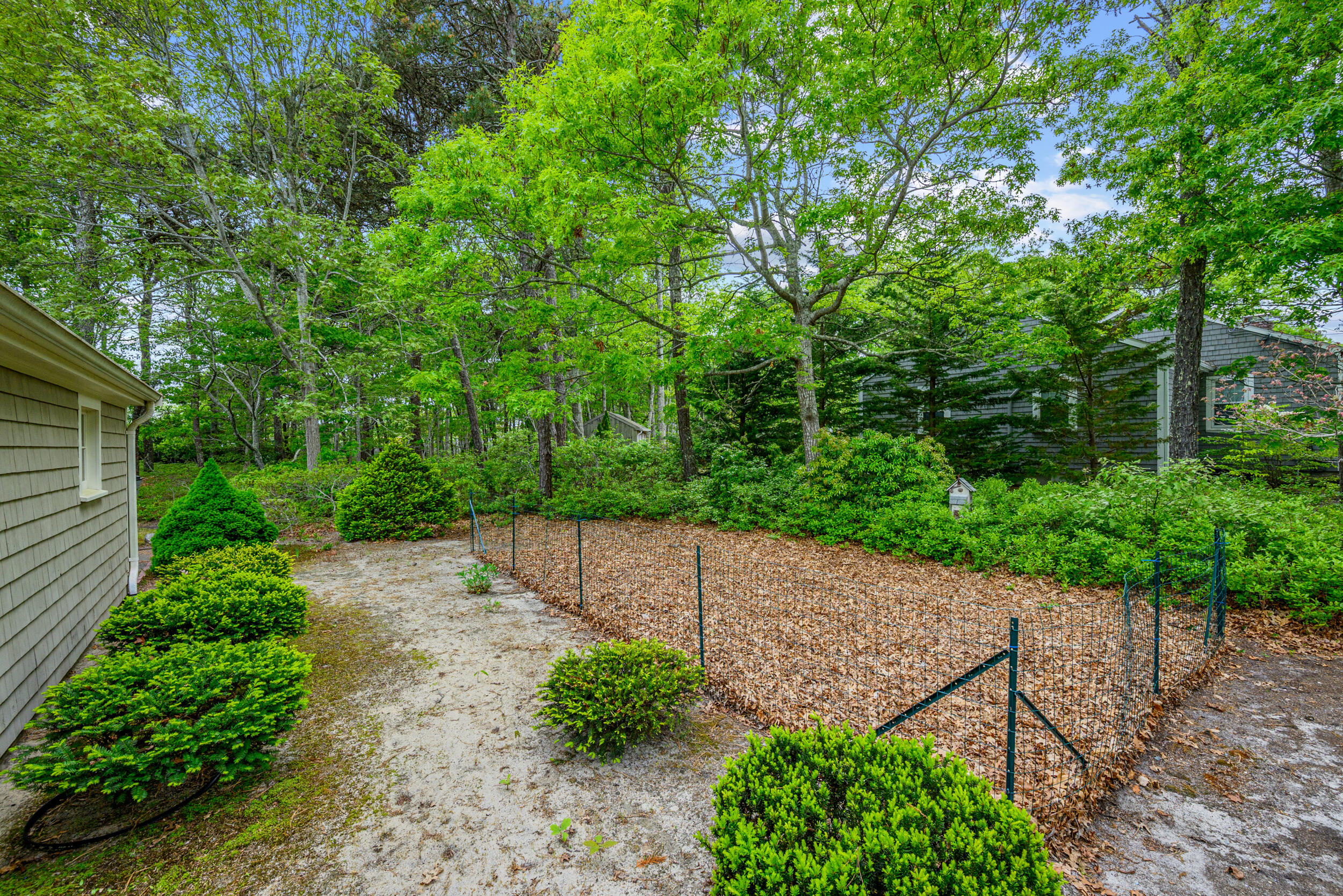 59 Beverly Road West Yarmouth, MA 02673 - Photo 12 of 33 a view of a backyard with potted plants and large trees