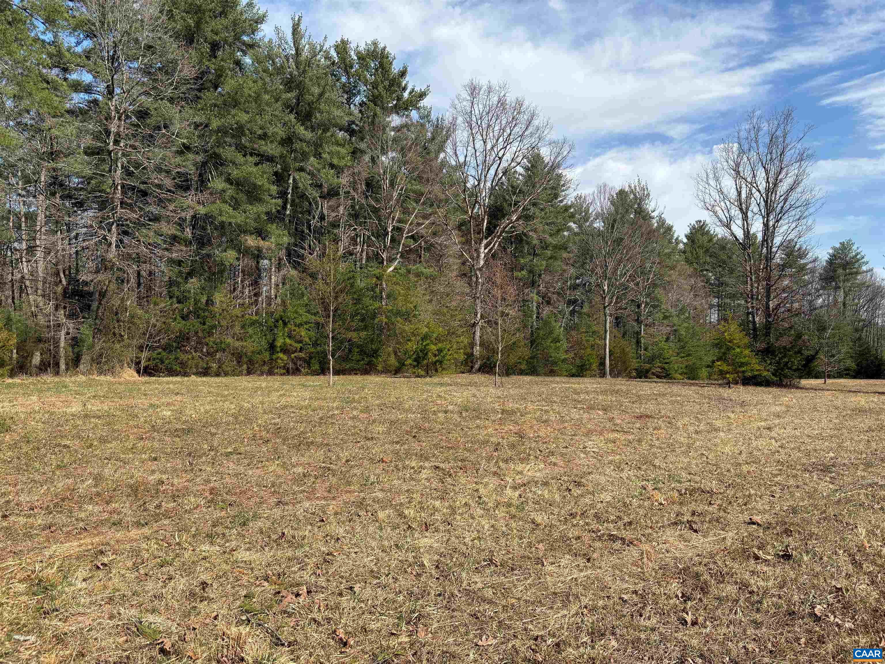 2065 Lindsay Road Gordonsville, VA 22942 - Photo 3 of 5 a view of a yard