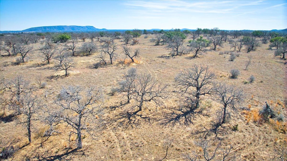 17431 Hickory Grove Road Pontotoc, TX 76869 - Photo 12 of 31 a view of mountain view with wooden floor and mountain view