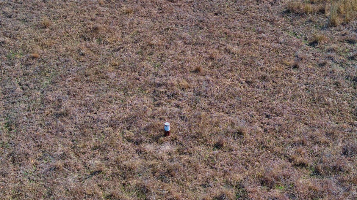 17431 Hickory Grove Road Pontotoc, TX 76869 - Photo 24 of 31 a view of a dry yard