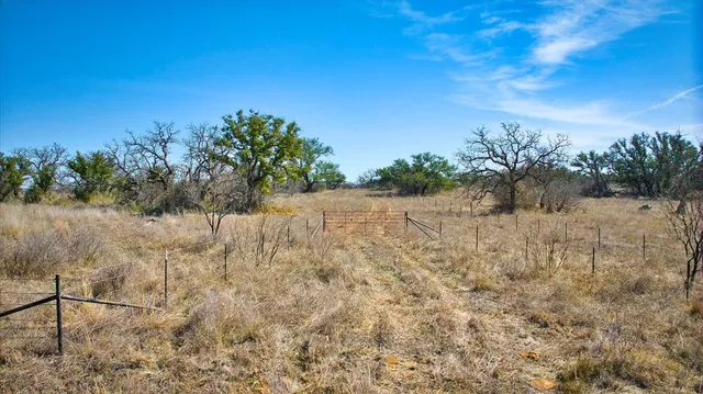 a view of a dry yard
