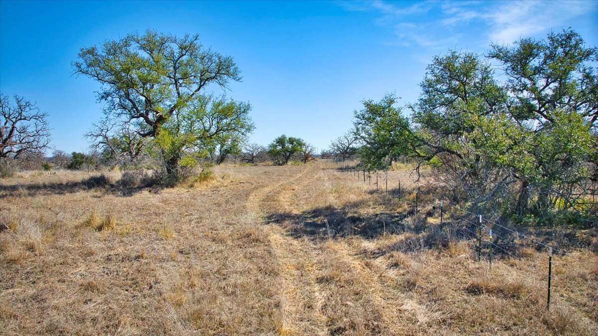 17431 Hickory Grove Road Pontotoc, TX 76869 - Photo 7 of 31 a view of a dry yard with trees