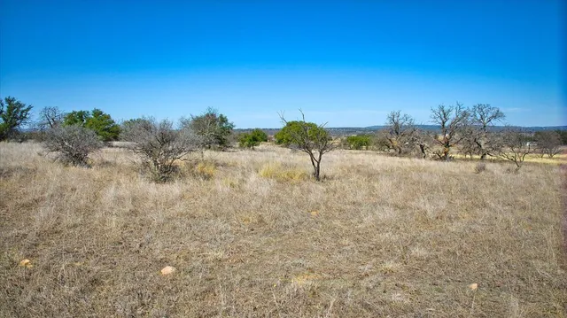 a view of a field with trees in background