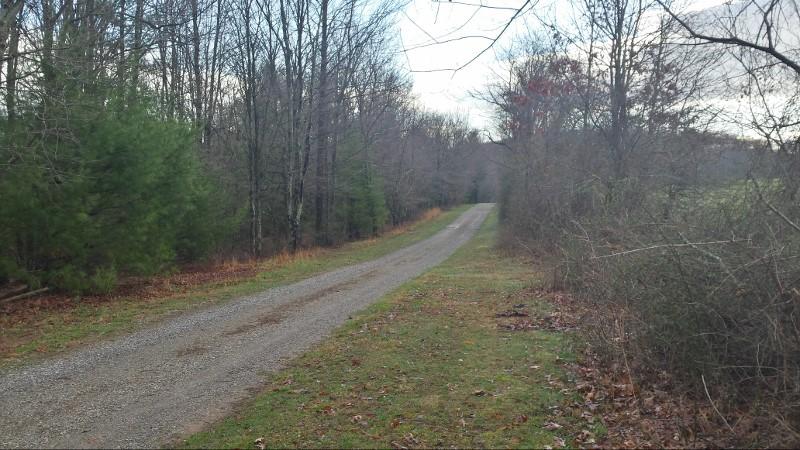 1978 Bethlehem Church Road Northeast Floyd, VA 24091 - Photo 14 of 39 20160315_090023_Richtone(HDR) (800x450)