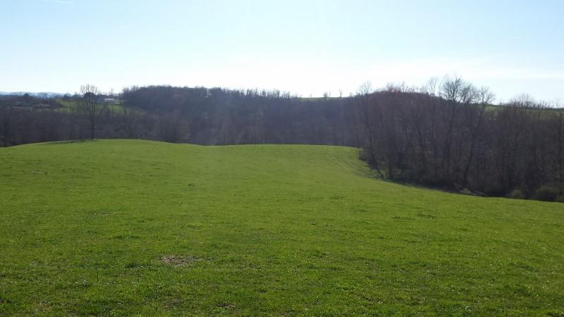 1978 Bethlehem Church Road Northeast Floyd, VA 24091 - Photo 38 of 39 20160322_171135 (800x450)