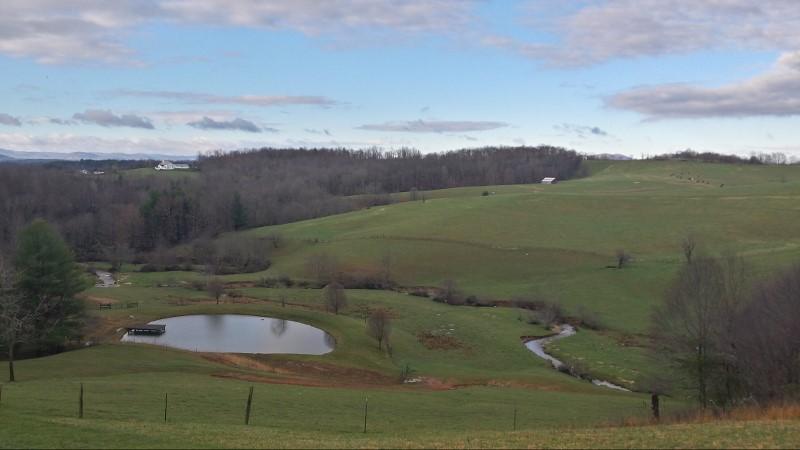 1978 Bethlehem Church Road Northeast Floyd, VA 24091 - Photo 7 of 39 20160315_085614_Richtone(HDR) (800x450)