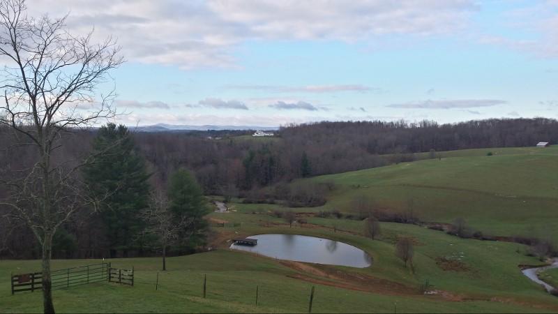 1978 Bethlehem Church Road Northeast Floyd, VA 24091 - Photo 8 of 39 20160315_085621_Richtone(HDR) (800x450)