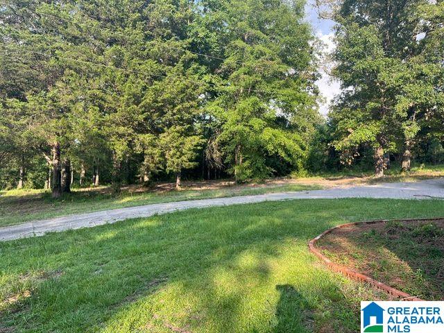 1663 County Road 2 Montevallo, AL 35115 - Photo 35 of 46