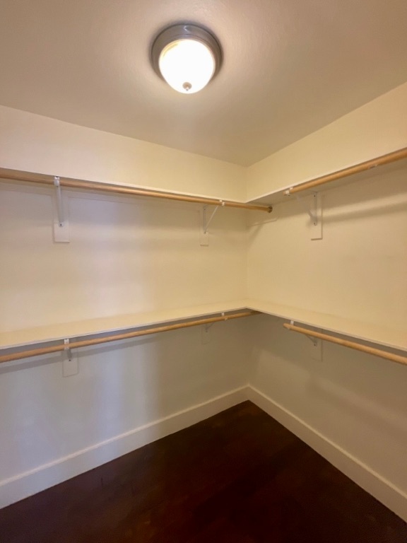909 Reinli Street, Unit 124 Austin, TX 78751 - Photo 10 of 12 Walk in closet featuring dark wood-type flooring