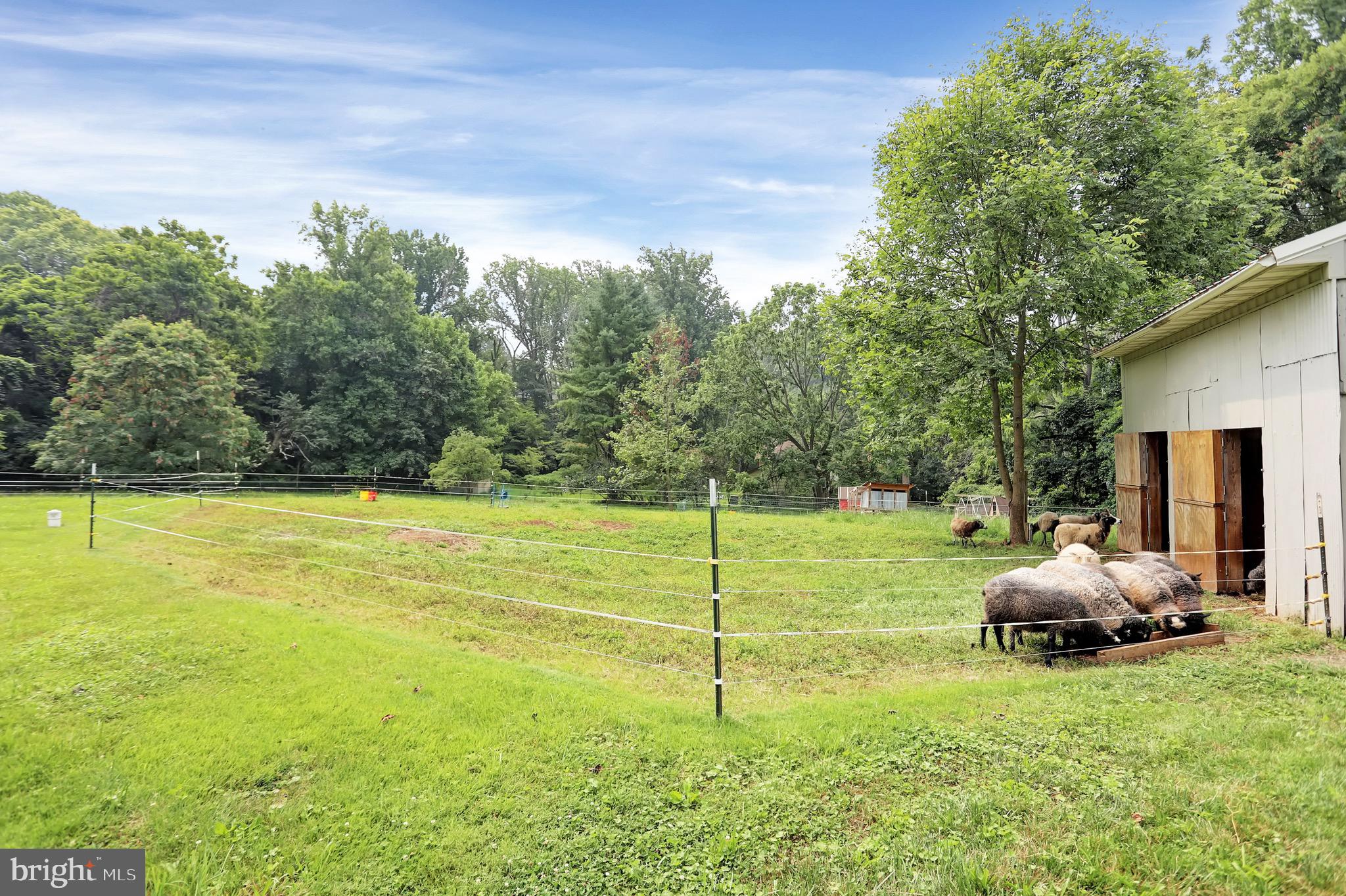 2613 Whitt Road Kingsville, MD 21087 - Photo 49 of 58