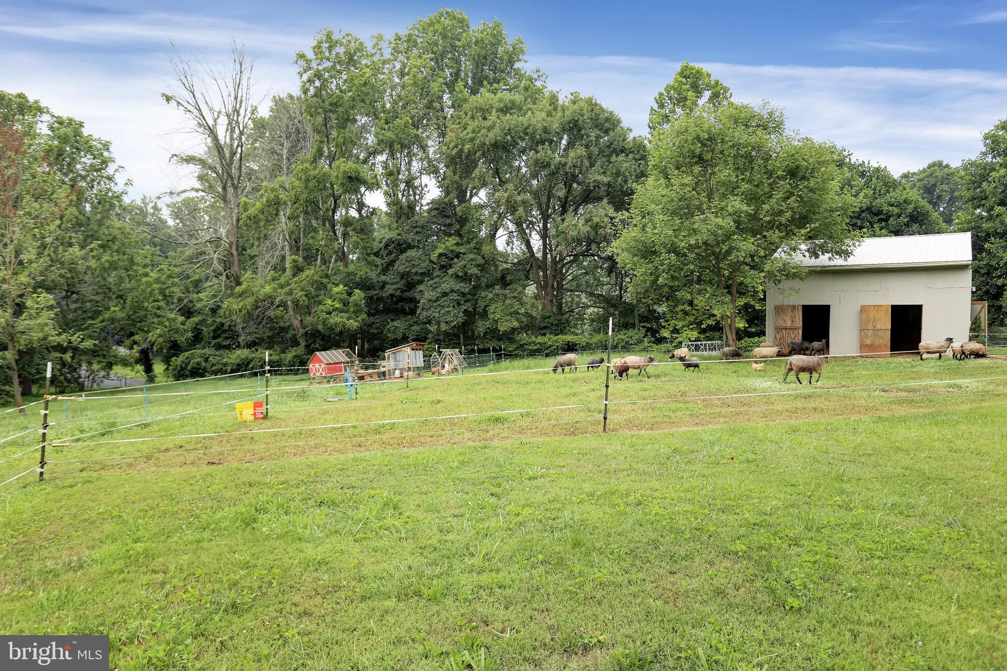 2613 Whitt Road Kingsville, MD 21087 - Photo 53 of 58
