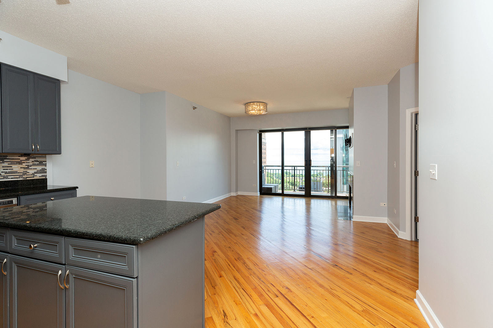 41 East 8th Street, Unit 1902 Chicago, IL 60605 - Photo 6 of 33