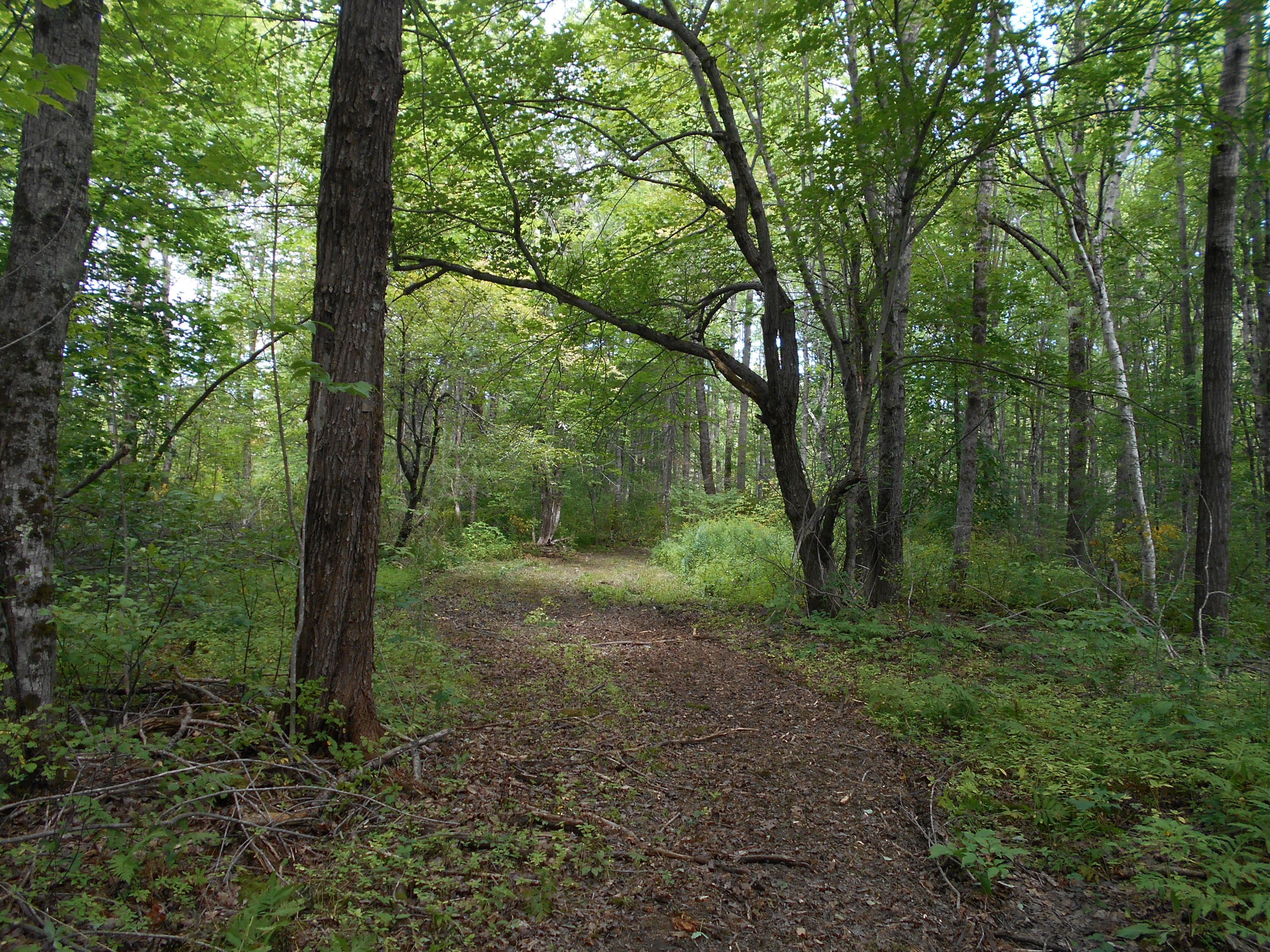 129 Loop Road North Searsport, ME 04974 - Photo 12 of 22 DSCN9987 (1)