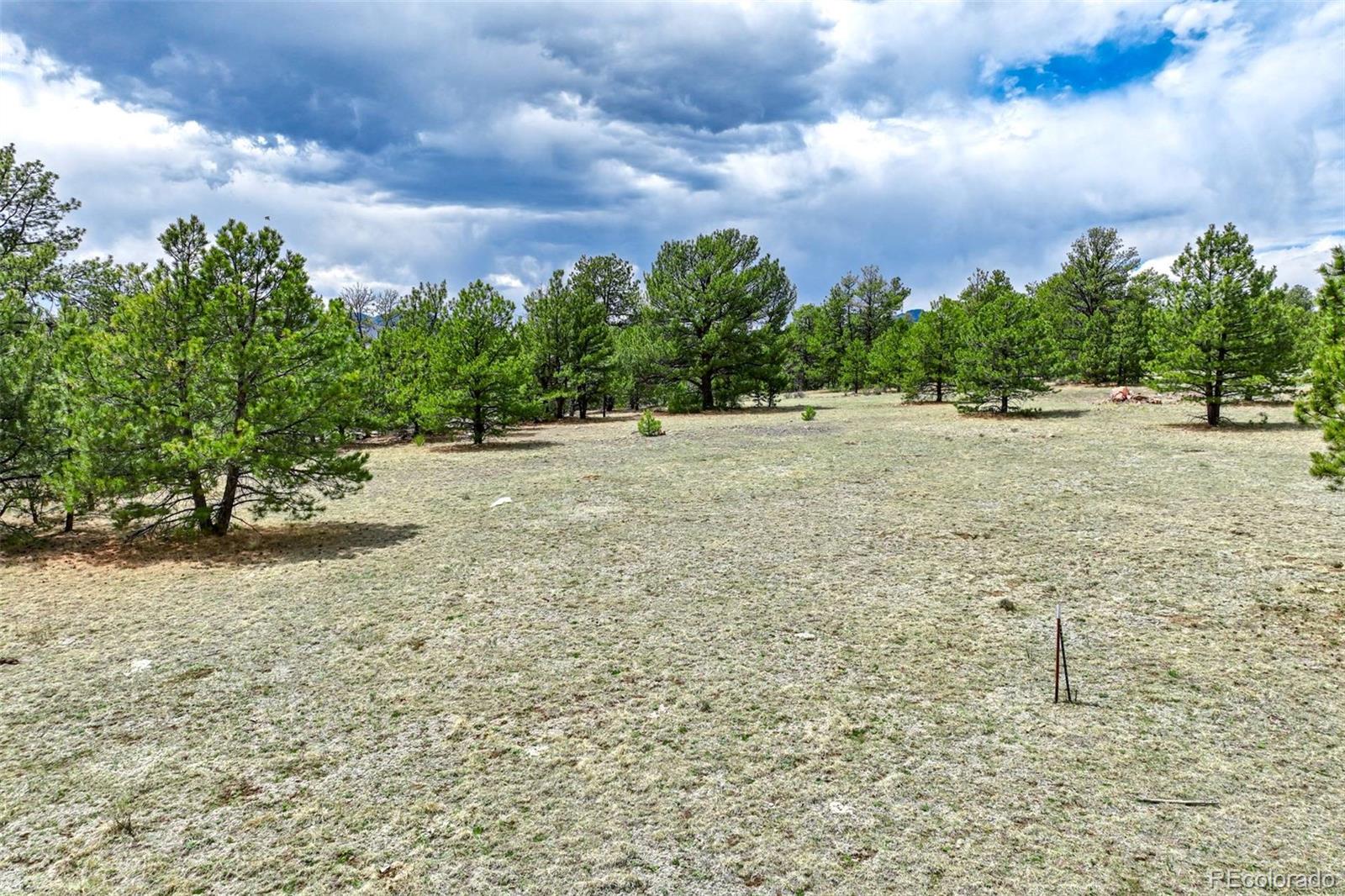103 Doe Valley Road Guffey, CO 80820 - Photo 39 of 46