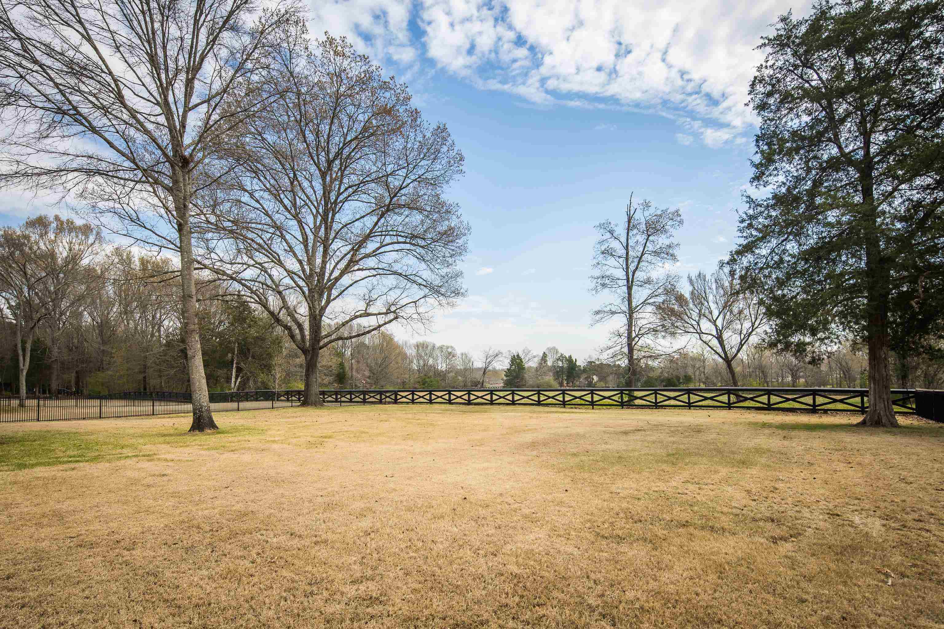 255 Ridgewood Drive Piperton, TN 38017 - Photo 39 of 40