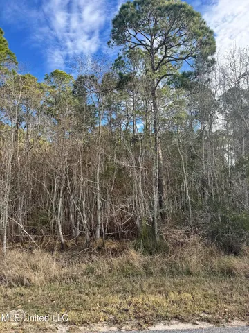 $7,500 | Lot 2221 Peach Street, Ocean Springs, MS 39564