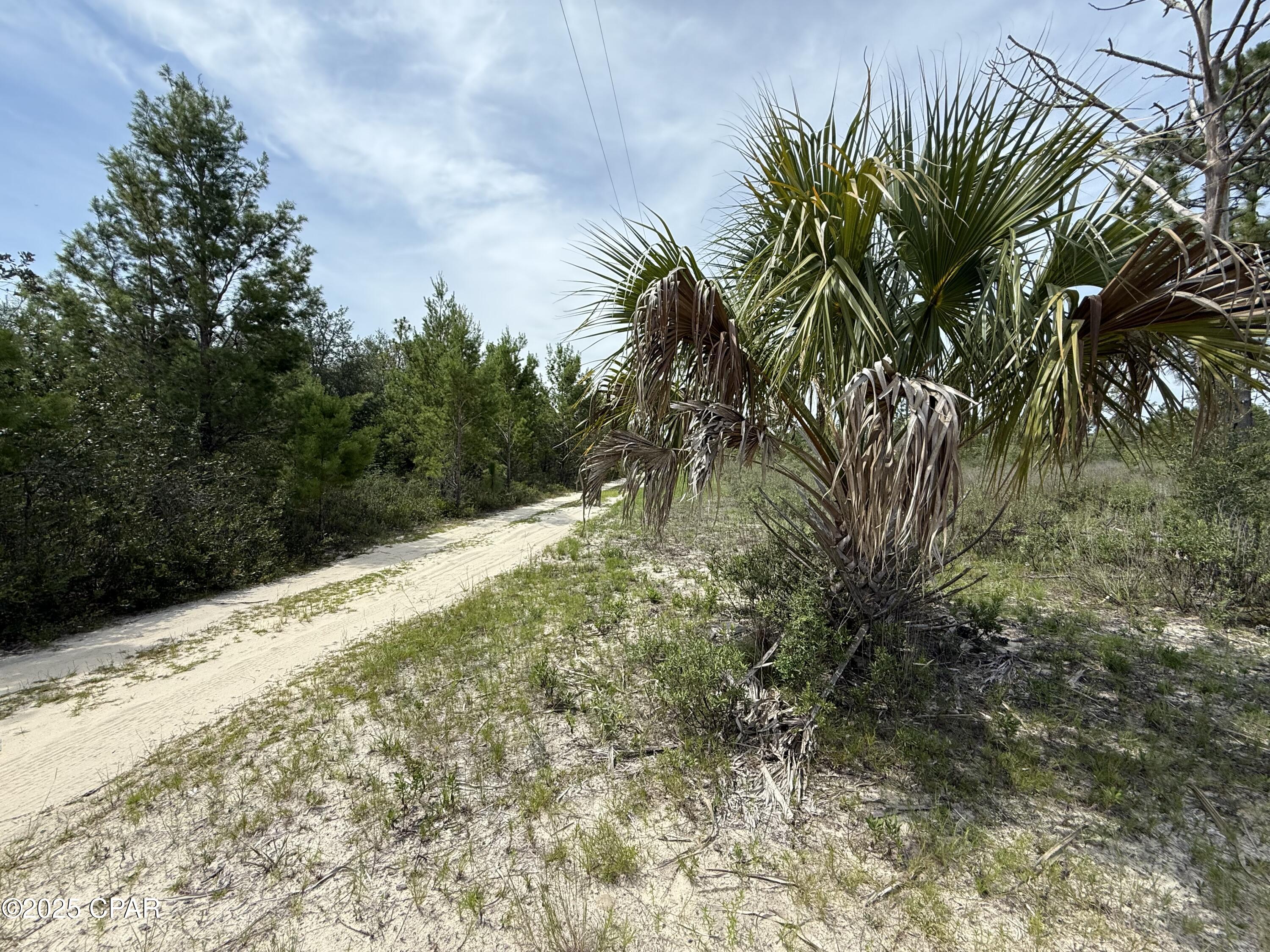 19660 Northwest Alice Vreeland Road Altha, FL 32421 - Photo 2 of 9 Gallery Image 2