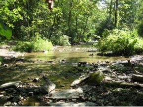 2-3 Abrams Falls Road Bristol, VA 24202 - Photo 2 of 6 Photo 2