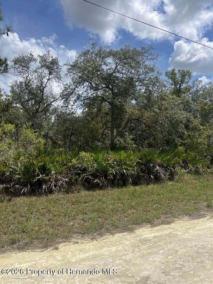 0 Parrot Road North Weeki Wachee, FL 34614 - Photo 20 of 24 Gallery Image 20