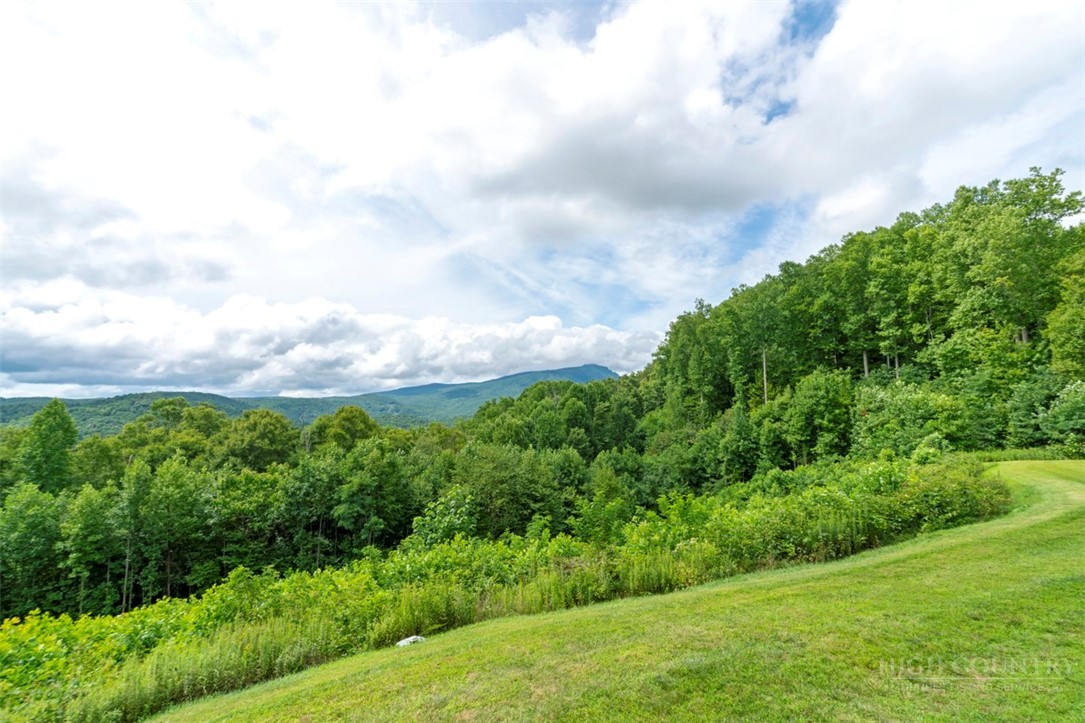 171 Falcon Trace, Unit C411 Boone, NC 28607 - Photo 17 of 45