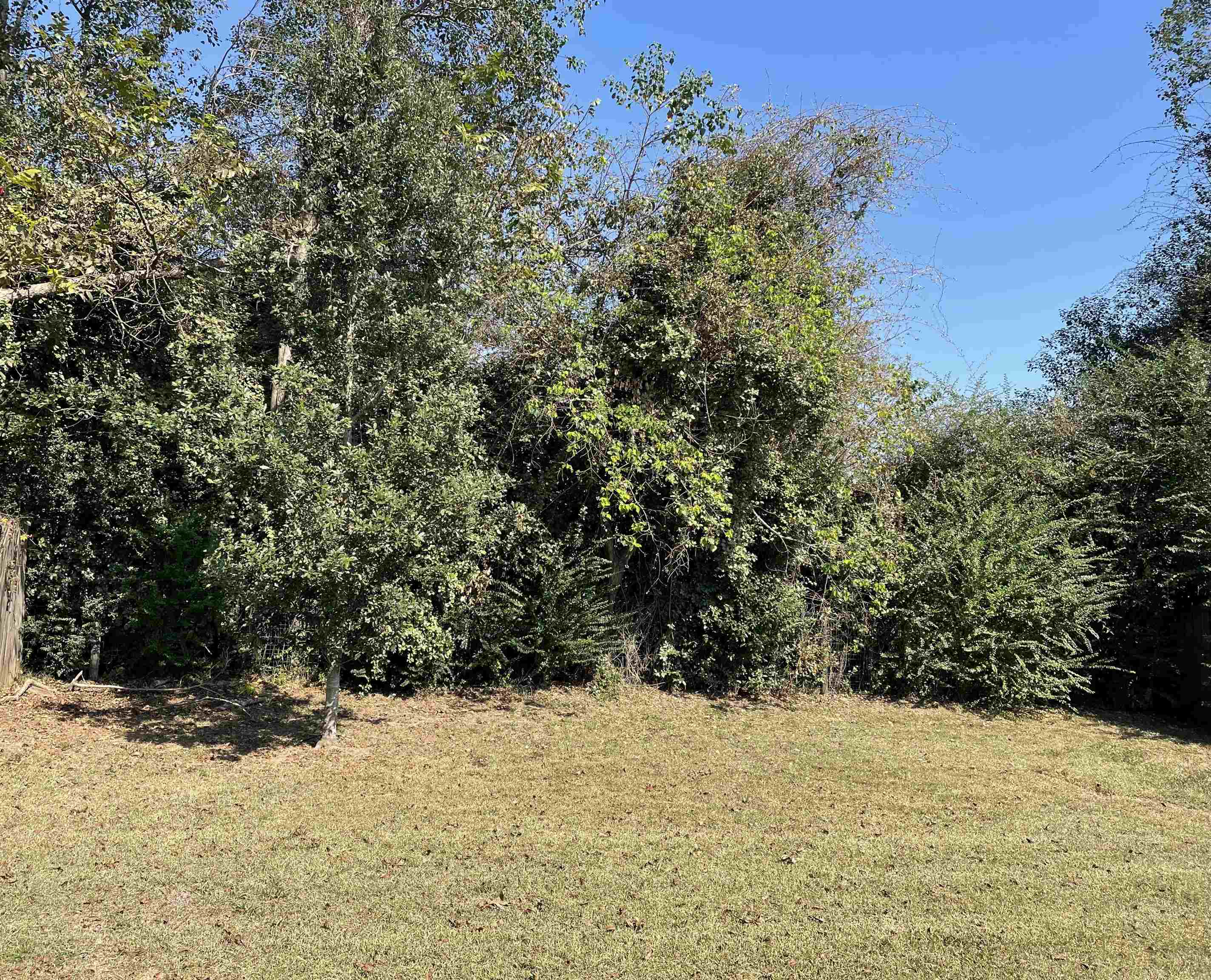 16141 Trace Drive Loxley, AL 36551 - Photo 3 of 26 Backyard