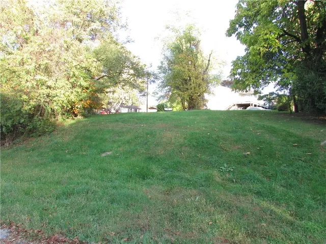 a view of a field with large trees