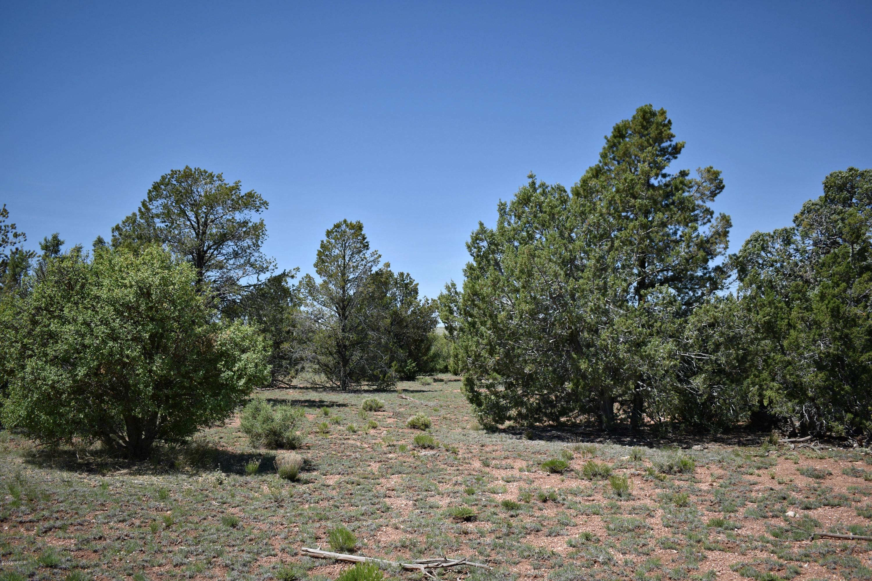 10654 West Red Bluff Road Williams, AZ 86046 - Photo 27 of 28 DSC_0889a
