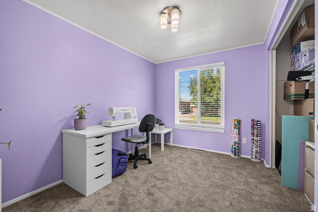 564 Swenson Avenue Springville, UT 84663 - Photo 12 of 26 Plush carpeting, recessed window, and flush-mount ceiling light fixture