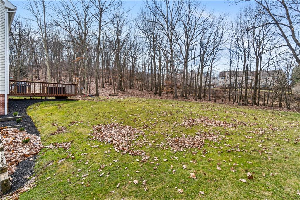 528 Pine Bluff Drive Mars, PA 16046 - Photo 23 of 25 a view of a yard with large trees