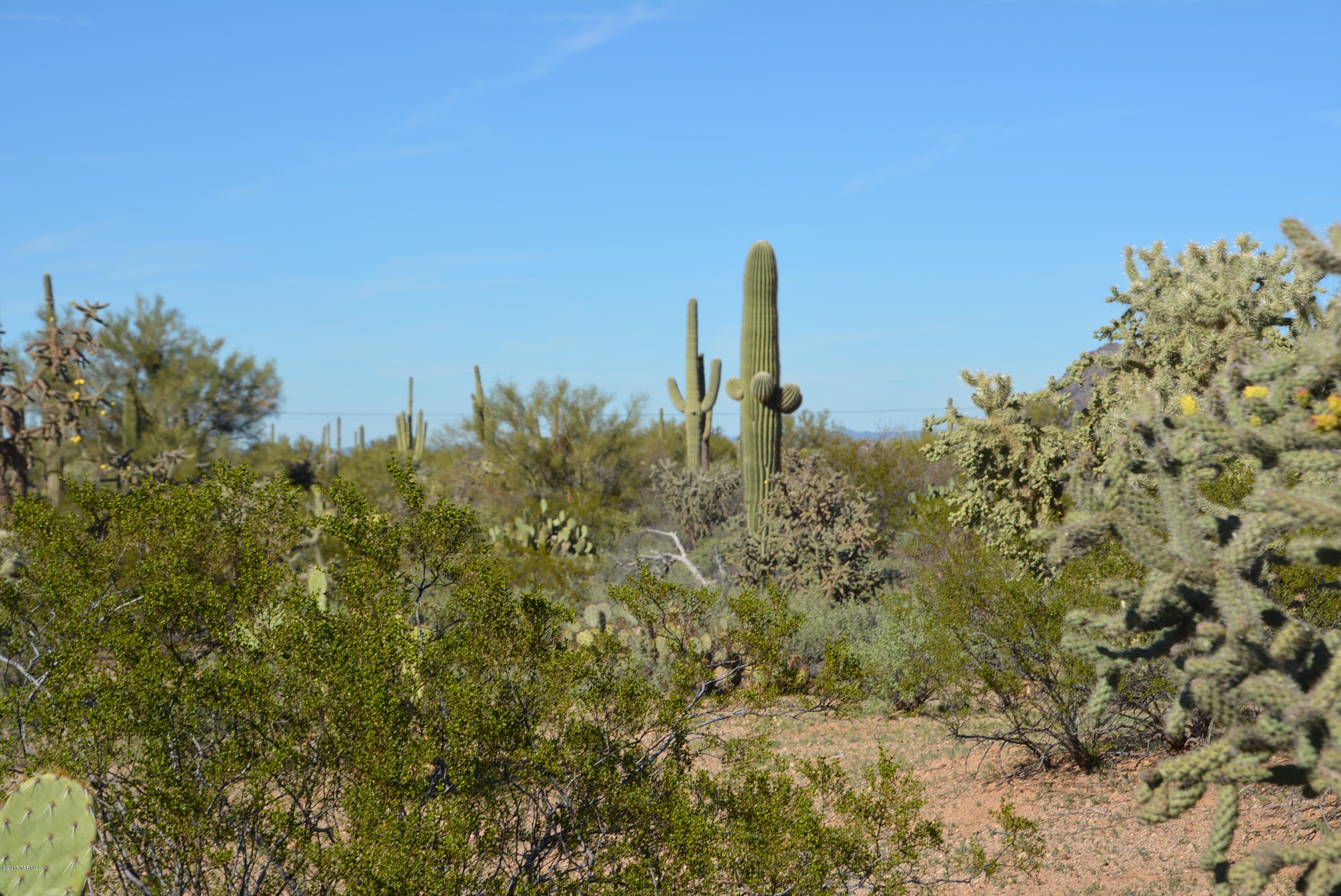 11700 West Rudasill Road, Unit LOT 4 Tucson, AZ 85743 - Photo 5 of 33