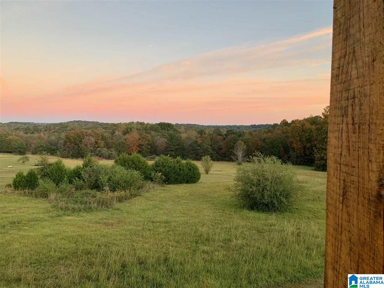 4500 Warrior Jasper Road Dora, AL 35062 - Photo 17 of 31