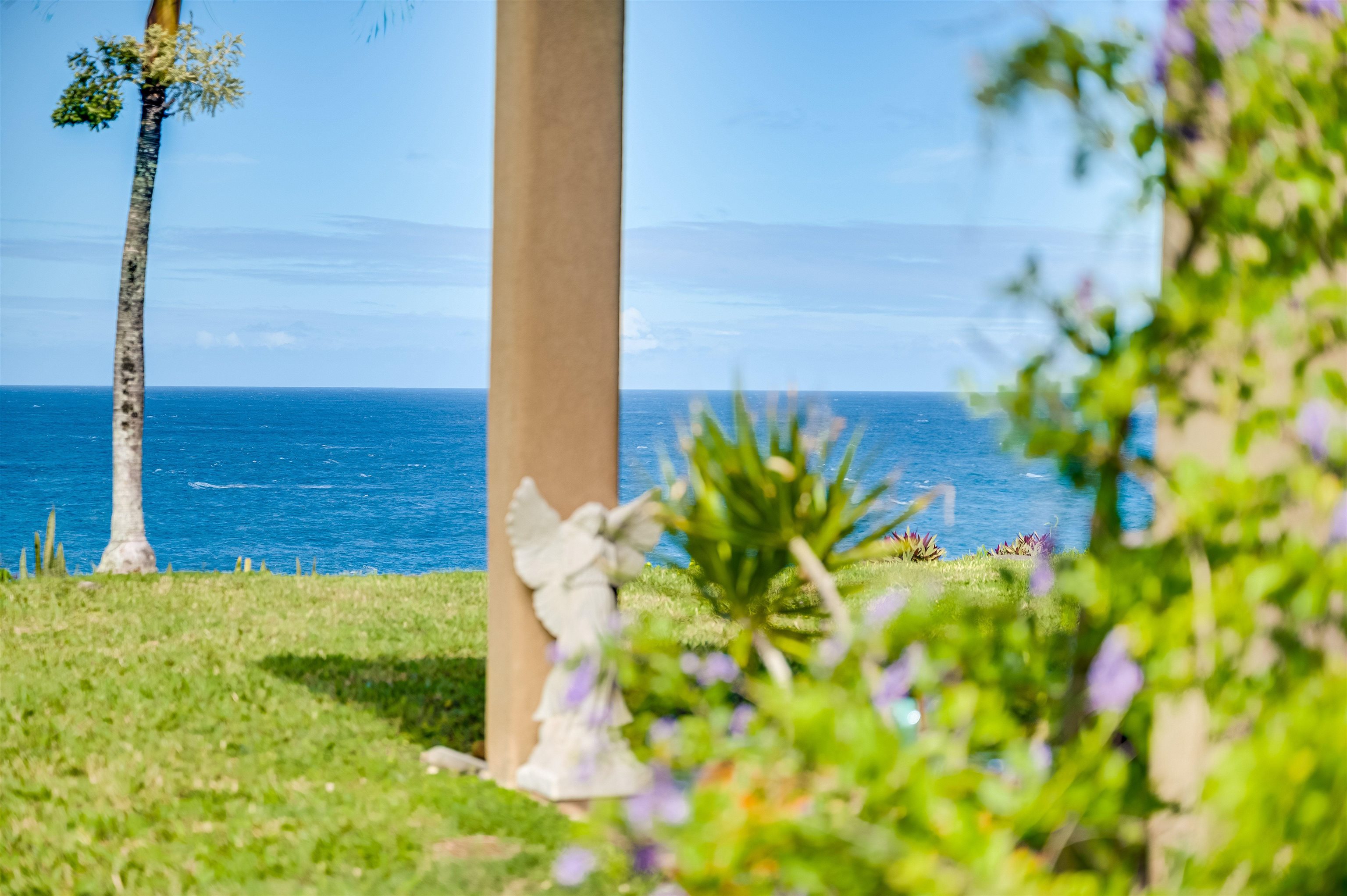 1004 North Honokala Road, Unit B Haiku, HI 96708 - Photo 2 of 48 a view of a garden with a plants