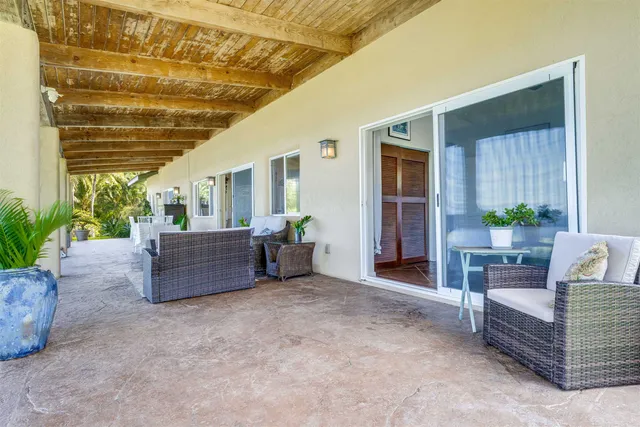 a view of a patio with plants and garden