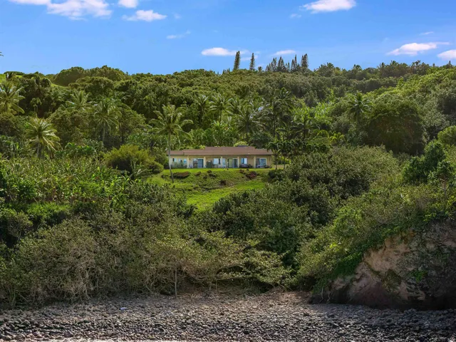 a view of a garden with a plants