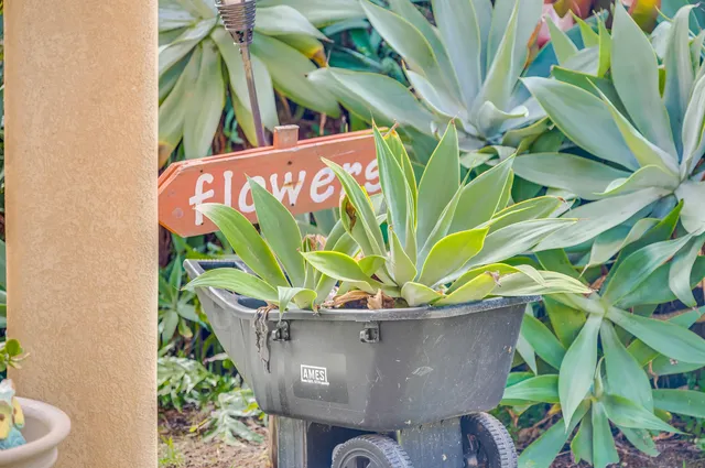 a view of a yard in front of a house