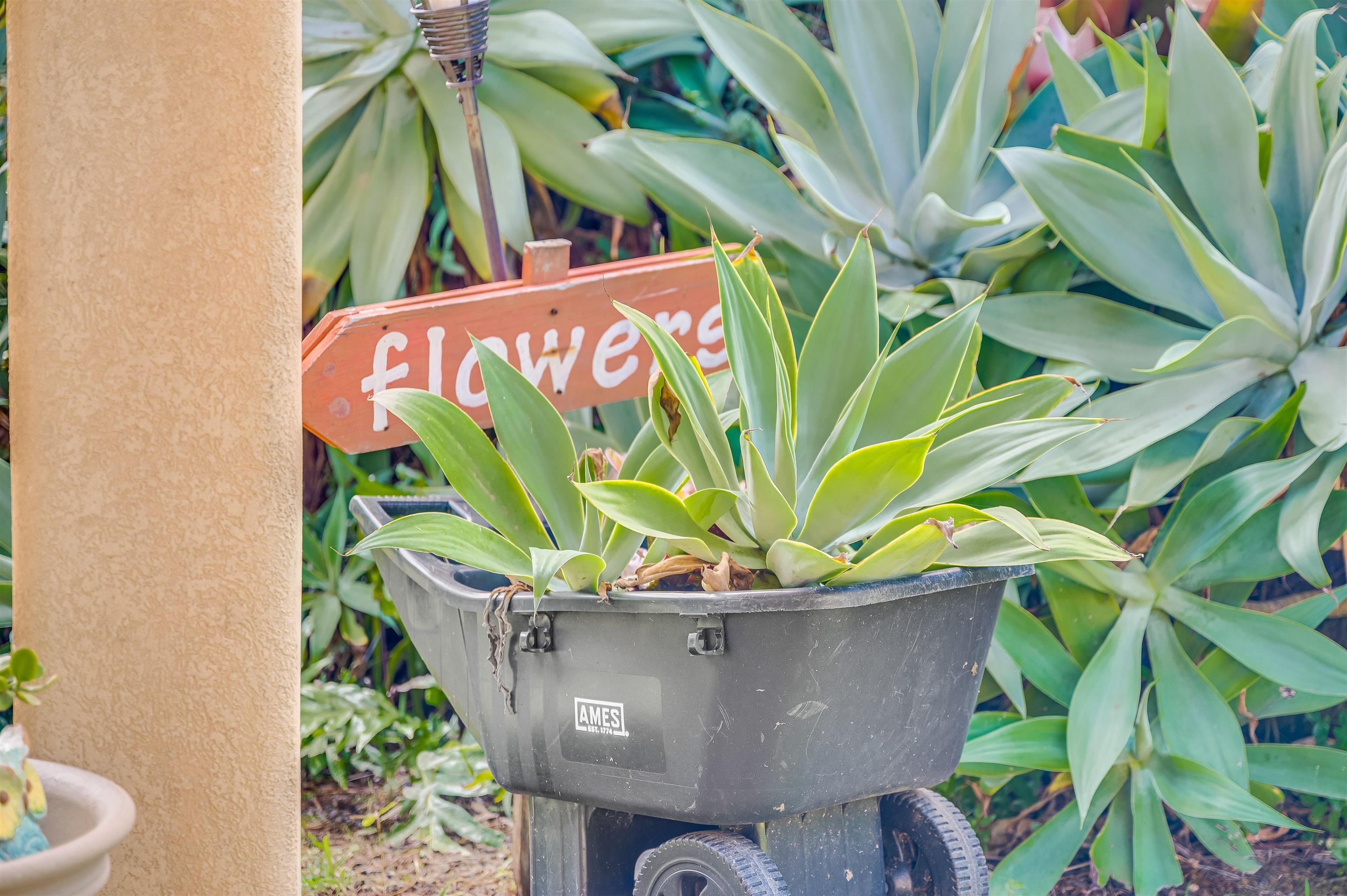 1004 North Honokala Road, Unit B Haiku, HI 96708 - Photo 41 of 48