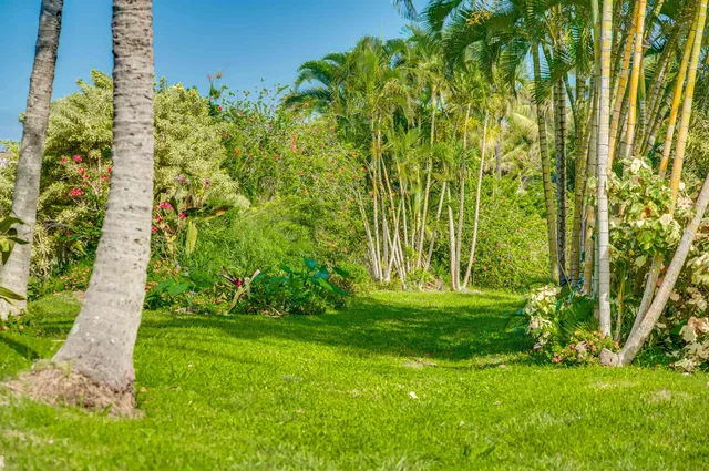 a view of a pathway both side of yard