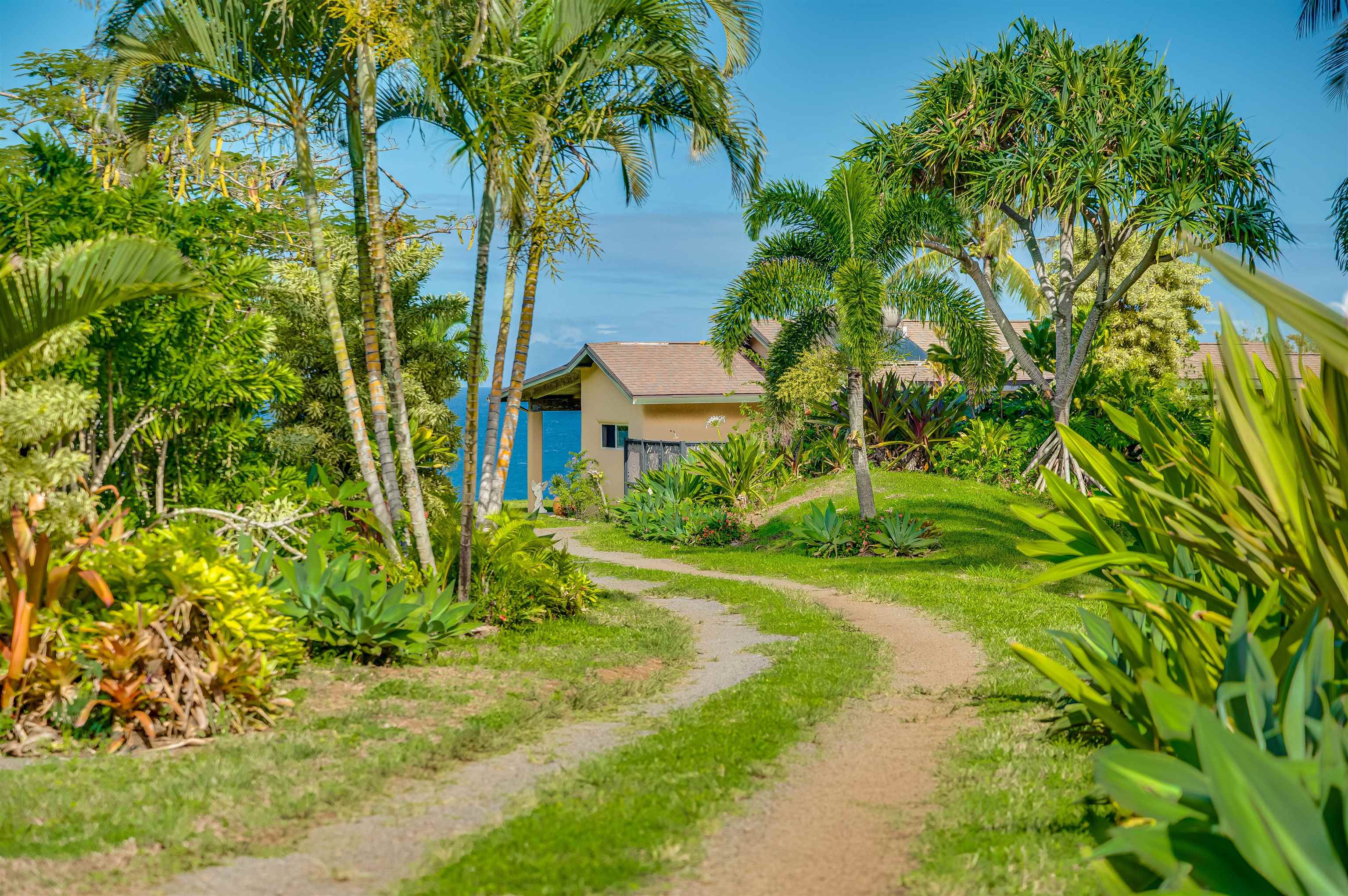 1004 North Honokala Road, Unit B Haiku, HI 96708 - Photo 43 of 48 a view of a yard in front of a house