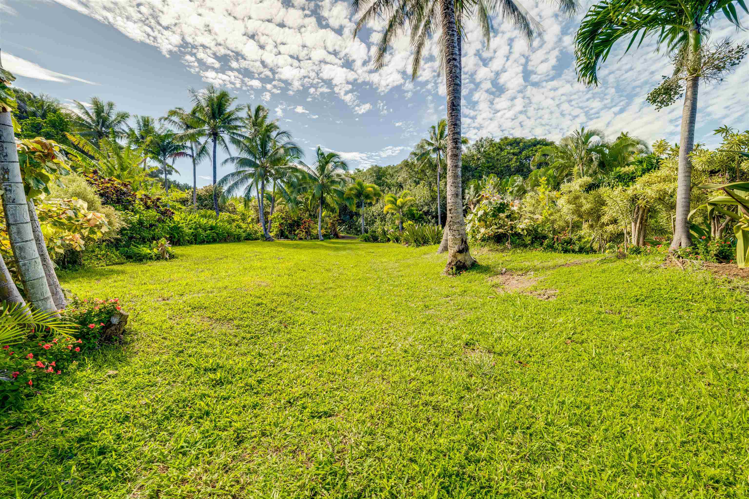 1004 North Honokala Road, Unit B Haiku, HI 96708 - Photo 45 of 48 a view of an outdoor space and a yard