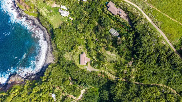 a backyard of a house with lots of green space