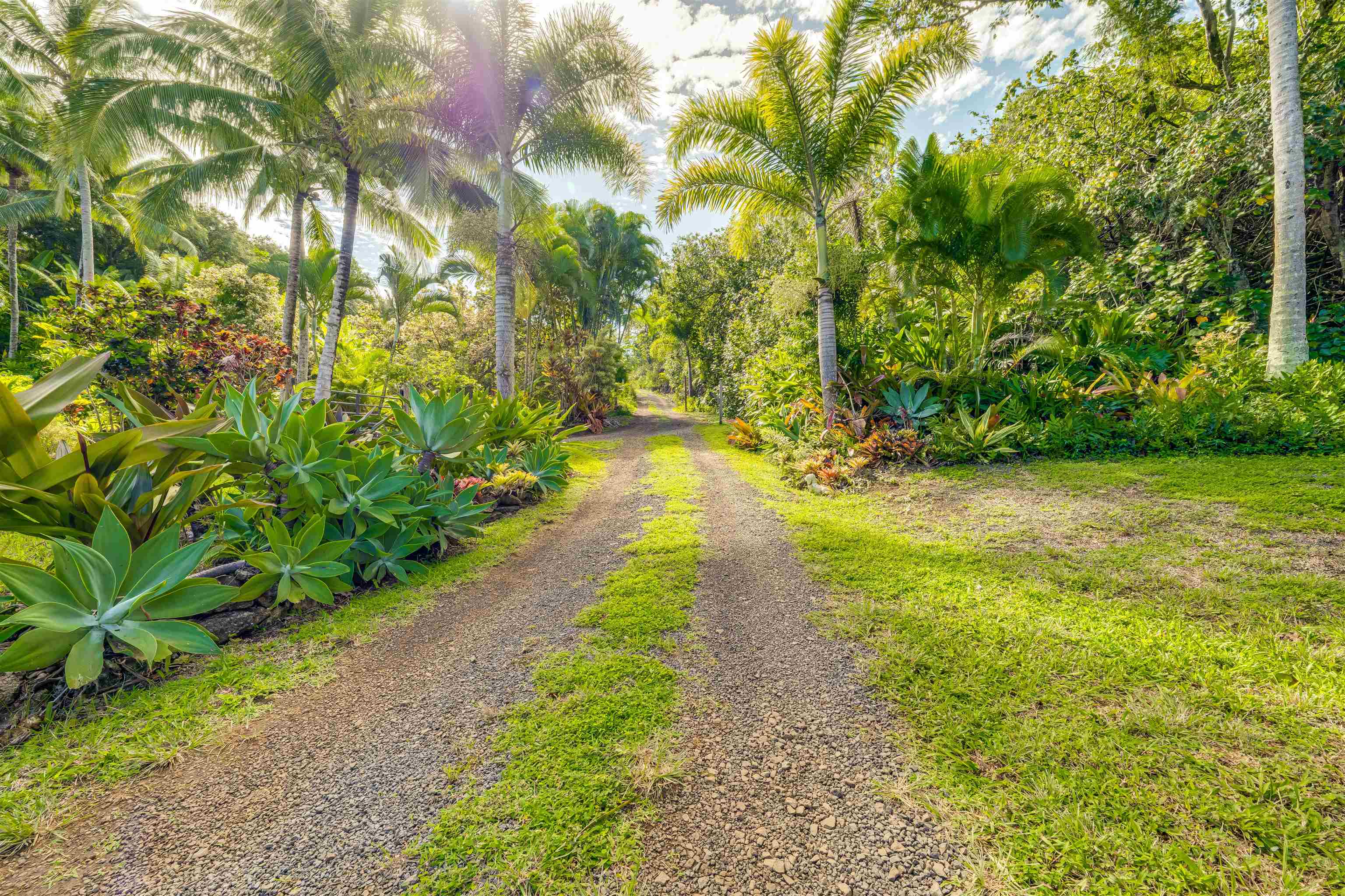 1004 North Honokala Road, Unit B Haiku, HI 96708 - Photo 46 of 49 a view of a pathway both side of yard