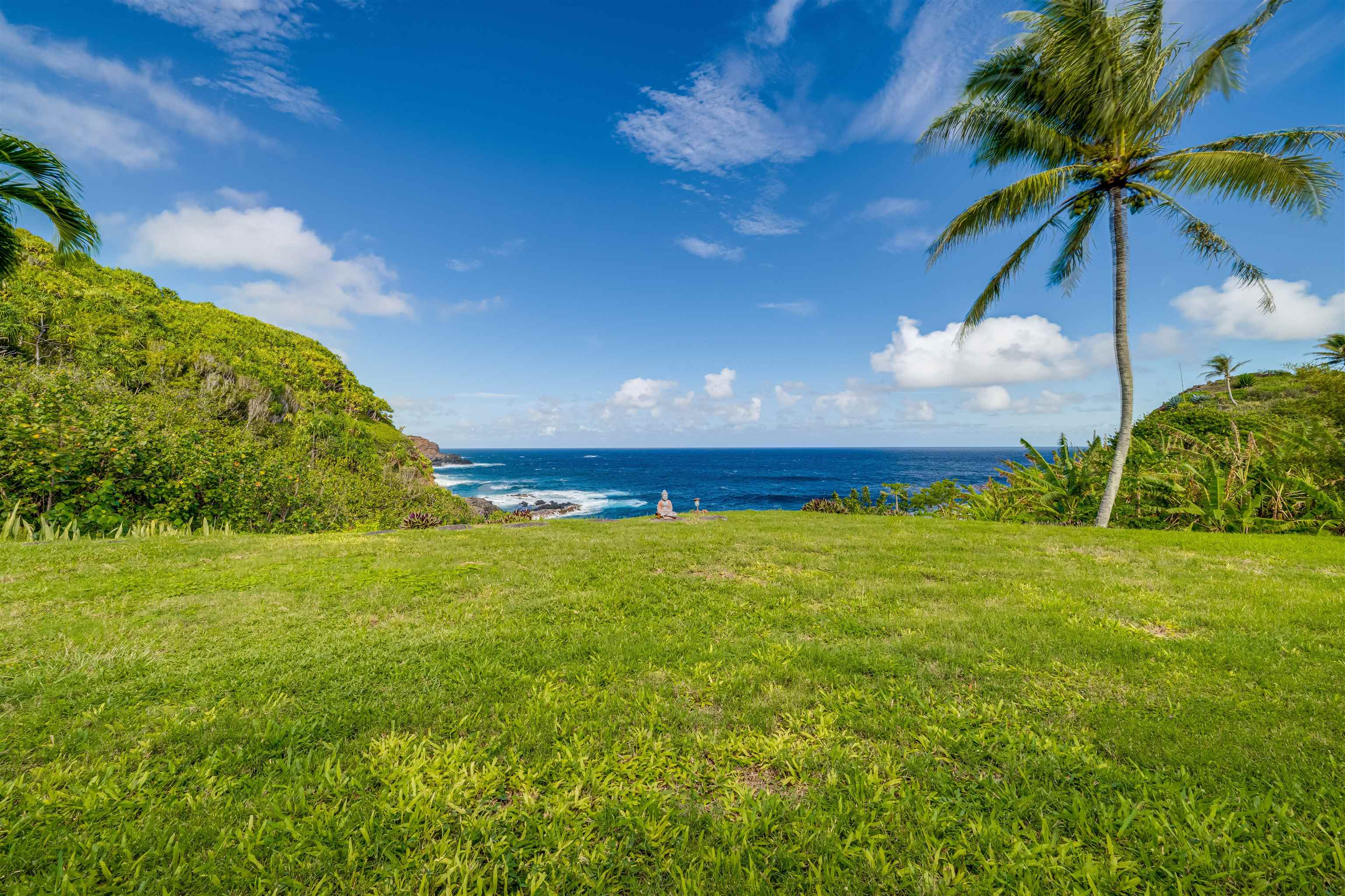 1004 North Honokala Road, Unit B Haiku, HI 96708 - Photo 7 of 49 a view of an outdoor space and a yard