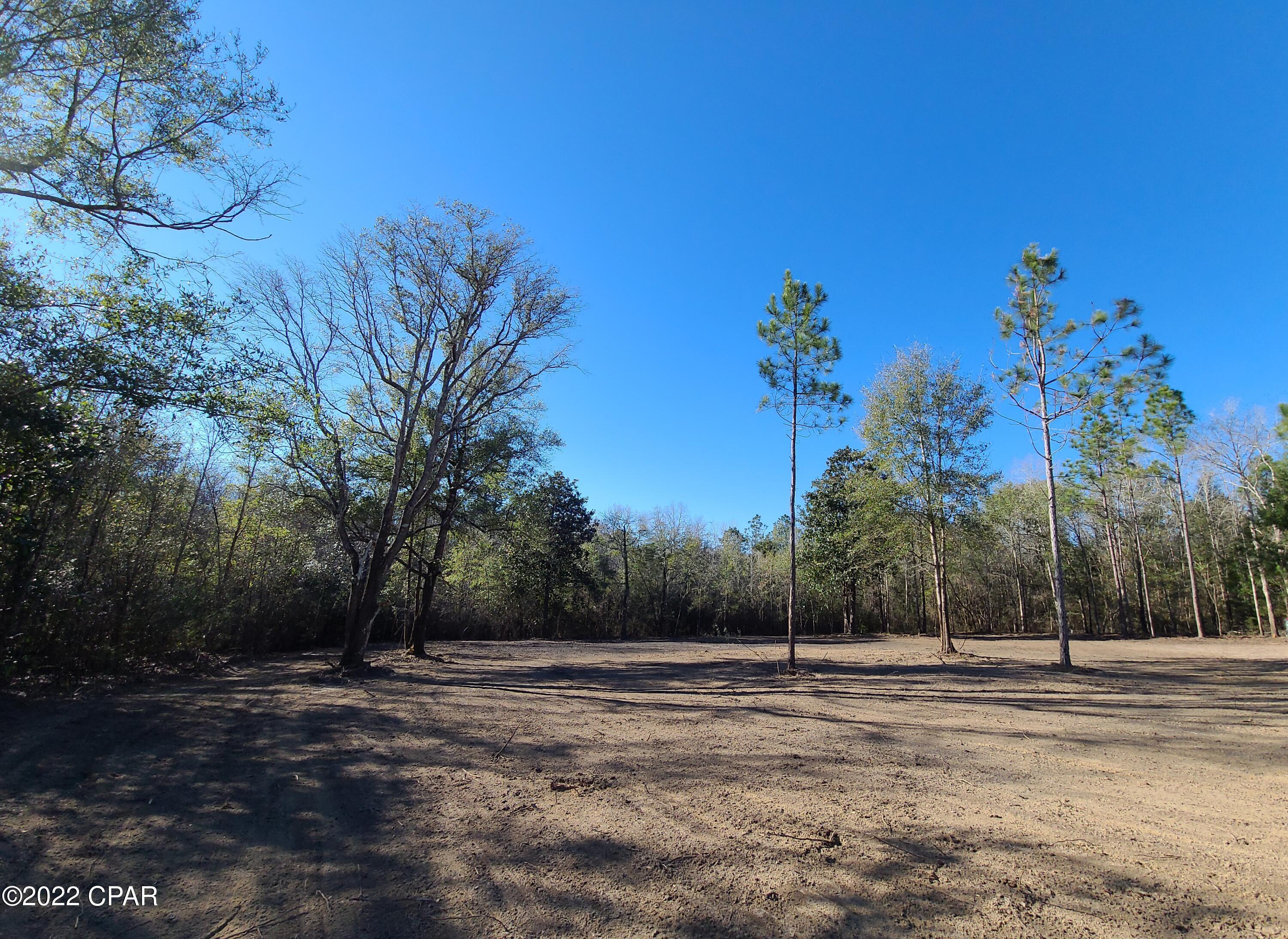 0 River Road Caryville, FL 32427 - Photo 11 of 12 Gallery Image 11