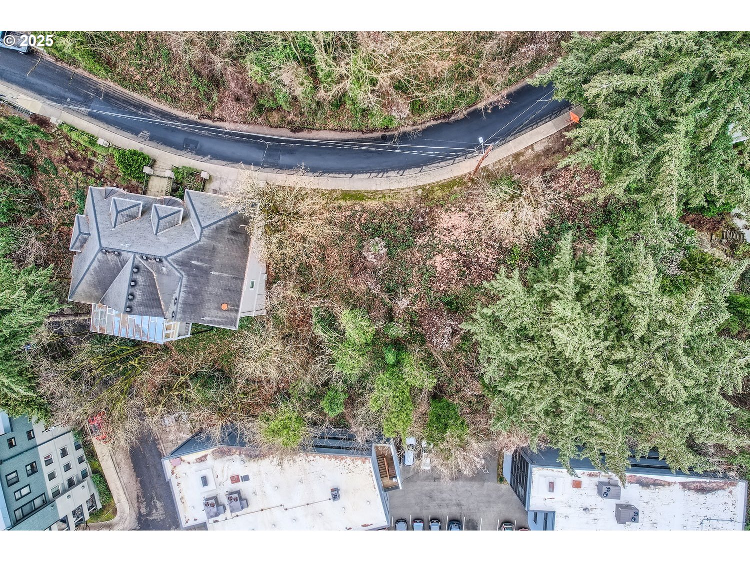 2107 Southwest Market St Drive Portland, OR 97201 - Photo 2 of 13 a view of a yard filled with lots of trees