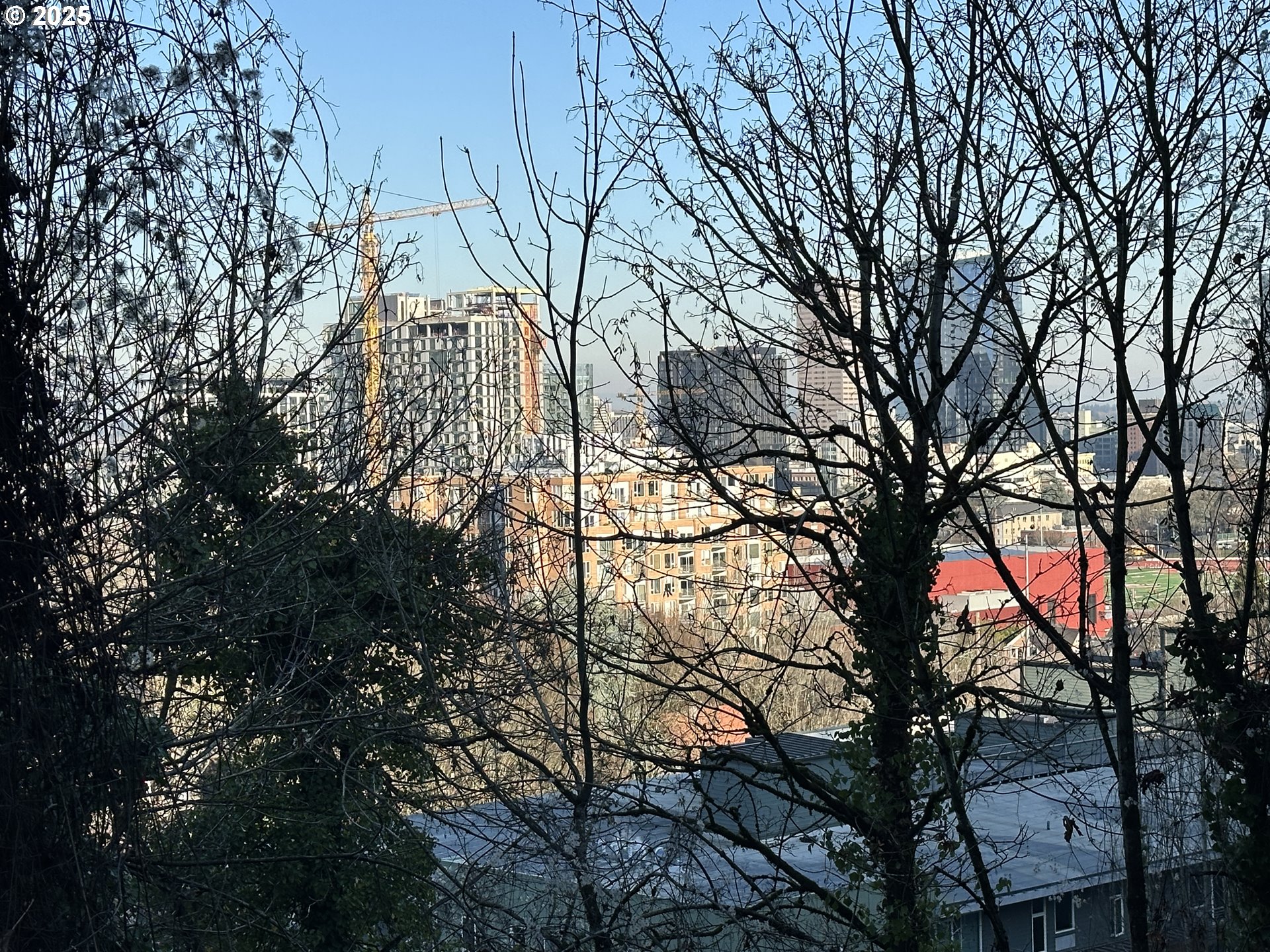 2107 Southwest Market St Drive Portland, OR 97201 - Photo 3 of 13 a backyard of a house with lots of trees